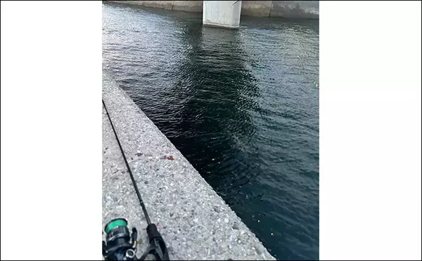 「真冬のアジとメバルはどこにいる？ 水深があって水温が安定している場所へ移動か」の画像