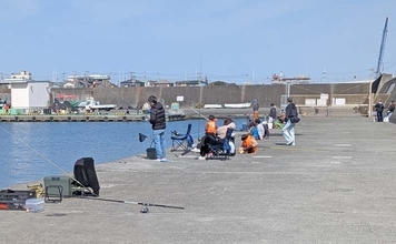 相模湾のファミリー向き釣り場【真鶴港・平塚新港・早川港】で竿を出してみた