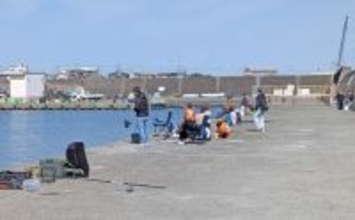 相模湾のファミリー向き釣り場【真鶴港・平塚新港・早川港】で竿を出してみた