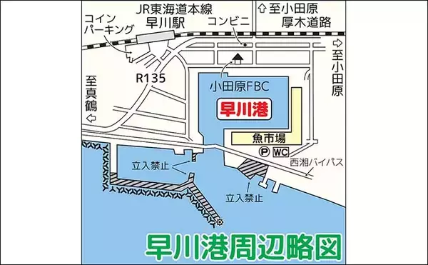 「相模湾のファミリー向き釣り場【真鶴港・平塚新港・早川港】で竿を出してみた」の画像