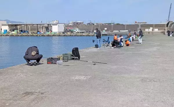 「相模湾のファミリー向き釣り場【真鶴港・平塚新港・早川港】で竿を出してみた」の画像