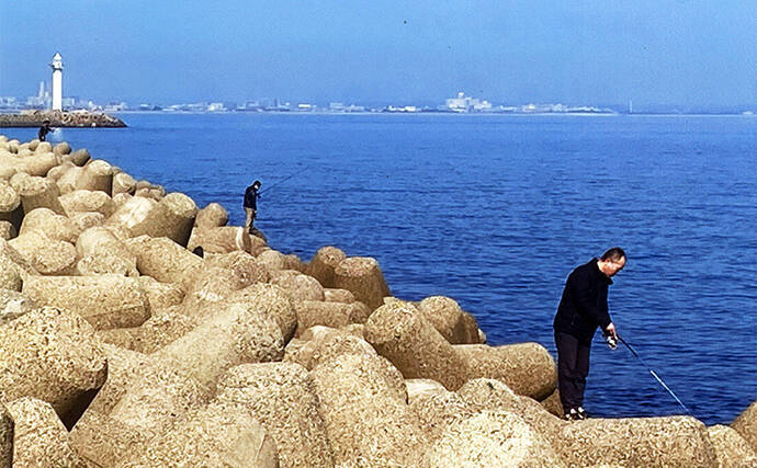 日中の穴釣りで18cm級カサゴ3匹キャッチ【三重】サバの切り身エサにヒット