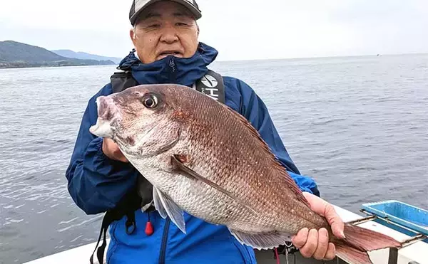 「【完全フカセ】で狙うマダイ釣り徹底解説　初心者でも大型マダイやヒラマサが釣れる！」の画像