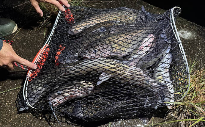 日本で2番目に大きな湖『霞ヶ浦』で「特定外来生物」の駆除が日常的なものに