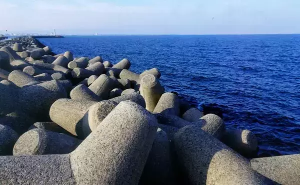 「厳冬期の穴釣りで15cm級カサゴ手中【三重】消波ブロック帯を丁寧に攻めて快心の一匹」の画像