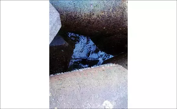 「厳冬期の穴釣りで15cm級カサゴ手中【三重】消波ブロック帯を丁寧に攻めて快心の一匹」の画像