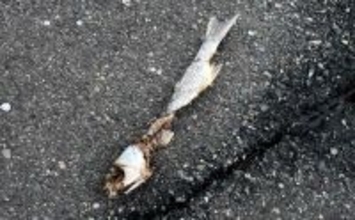 「ボウズにマンネリ・・」釣りを辞めたくなったら？　無理せず離れるのも一手