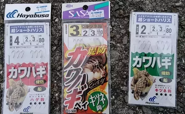「堤防カワハギ釣りの「胴突き仕掛け」を徹底解説　【適した針数・ハリス長さ・オモリは？】」の画像