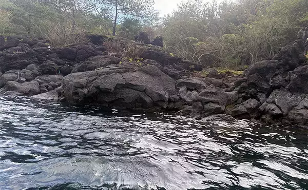 「「絶大な人気に納得！」足漕ぎカヤックをリゾート感覚で体験できる【ホビーベース西湖】に行ってみた」の画像