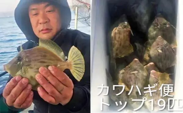 「関西エリアの【船釣り特選釣果】ノマセ便で良型ヒラメ＆大型サワラが同日ヒット！」の画像