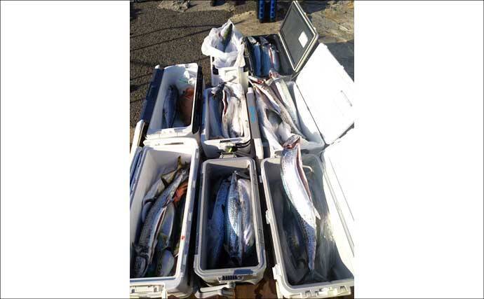 関西エリアの【船釣り特選釣果】ノマセ便で良型ヒラメ＆大型サワラが同日ヒット！