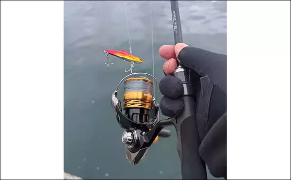 「「ゲストでは釣れるのに狙うと釣れないチヌ」 専用タックルでのチニングで本命不発」の画像