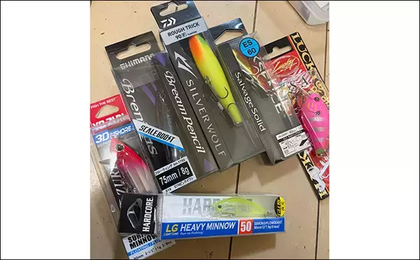 「チニングにおけるルアー選択の基本 【季節・食性・活性ごとに考えよう】」の画像