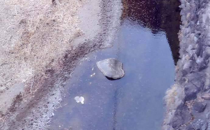 解禁直後に訪れたい秋山川の渓流釣りポイント【山梨】入渓しやすい中流域の好場所を紹介