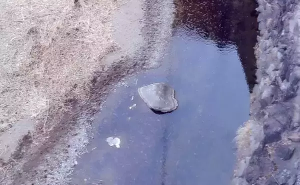 「解禁直後に訪れたい秋山川の渓流釣りポイント【山梨】入渓しやすい中流域の好場所を紹介」の画像