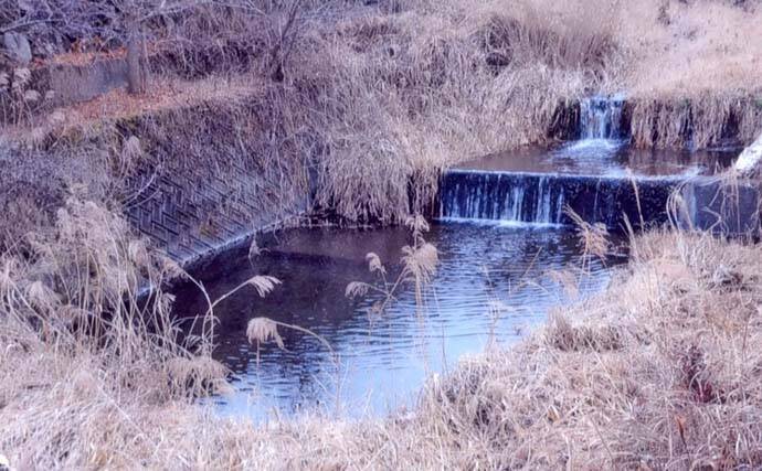 解禁直後に訪れたい秋山川の渓流釣りポイント【山梨】入渓しやすい中流域の好場所を紹介
