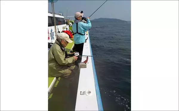 「東京湾トラフグ釣りで4.5kg本命堂々浮上【忠彦丸・神奈川】水温低下の食い渋りで苦戦」の画像