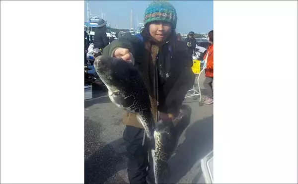 「東京湾トラフグ釣りで4.5kg本命堂々浮上【忠彦丸・神奈川】水温低下の食い渋りで苦戦」の画像