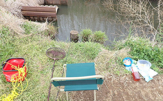ホソでの淡水小物釣りでフナが入れ食い！【谷田川・茨城】マブナにヘラブナ交じりで55匹