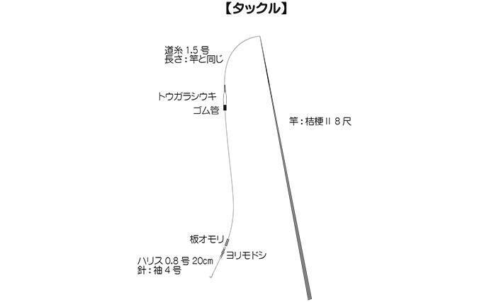 ホソでの淡水小物釣りでフナが入れ食い！【谷田川・茨城】マブナにヘラブナ交じりで55匹