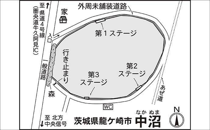 今週のヘラブナ「ピックアップ」釣り場2026【茨城・中沼】