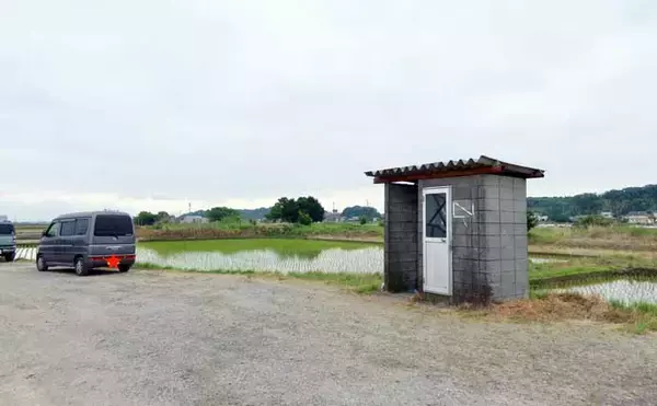 「今週のヘラブナ「ピックアップ」釣り場2026【茨城・中沼】」の画像