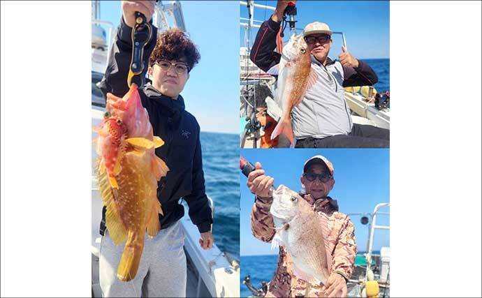 呼子沖の夜焚きイカ釣り好調でトップ50尾前後【船釣り釣果速報選・長崎／佐賀】