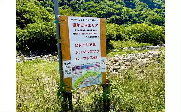 「箱根早川は渓流釣り初心者のステップアップに最適　50cm級トラウトとの駆け引きも満喫」の画像