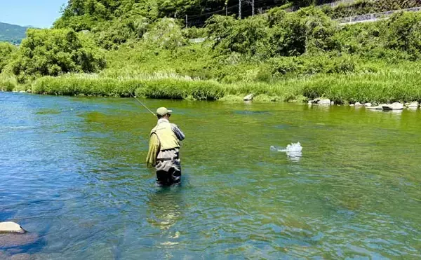 「箱根早川は渓流釣り初心者のステップアップに最適　50cm級トラウトとの駆け引きも満喫」の画像