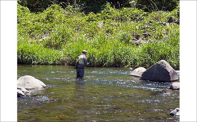 箱根早川は渓流釣り初心者のステップアップに最適　50cm級トラウトとの駆け引きも満喫