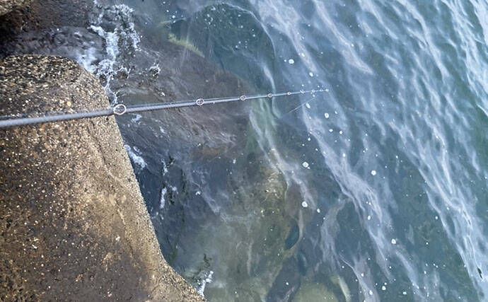 カサゴの穴釣り釣果レポート：26cm筆頭に10匹キャッチ【箕田消波ブロック帯・三重】