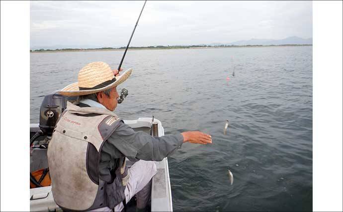 夏を代表する魚「キス（シロギス）」を船で釣ろう！【タックル・仕掛け・エサ・釣り方を解説】