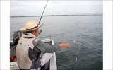 「夏を代表する魚「キス（シロギス）」を船で釣ろう！【タックル・仕掛け・エサ・釣り方を解説】」の画像14