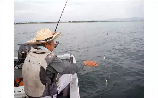 「夏を代表する魚「キス（シロギス）」を船で釣ろう！【タックル・仕掛け・エサ・釣り方を解説】」の画像