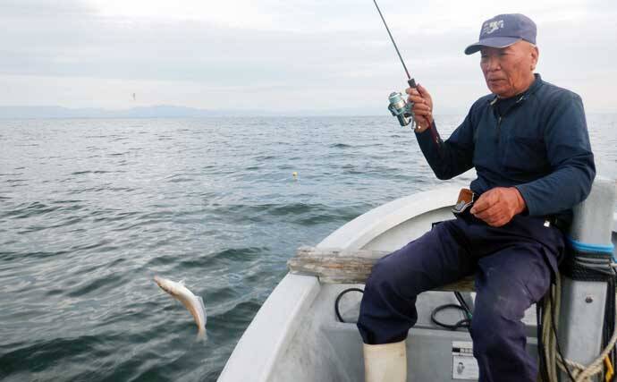 夏を代表する魚「キス（シロギス）」を船で釣ろう！【タックル・仕掛け・エサ・釣り方を解説】