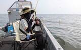 「夏を代表する魚「キス（シロギス）」を船で釣ろう！【タックル・仕掛け・エサ・釣り方を解説】」の画像7