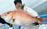「伊勢湾のボートジギングでまさかの53cmクエを手中！【愛知】ワラサ・タチウオ・マダイも次々ヒット」の画像3