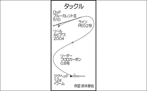 「弘漁港の朝マヅメアジングで33cmの尺サイズ登場！【福岡】サバ乱舞の中で本命捕獲」の画像