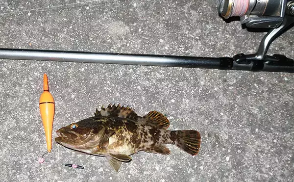 「「4つのタイプから選べば間違いなし！」 初めての海用釣り竿（ロッド）購入ガイド」の画像