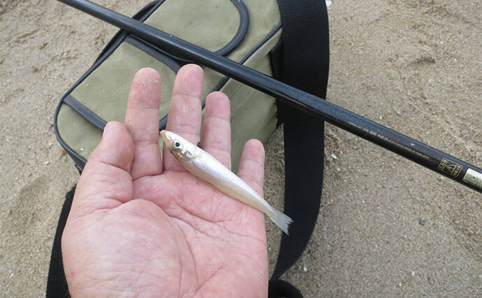 「4つのタイプから選べば間違いなし！」 初めての海用釣り竿（ロッド）購入ガイド