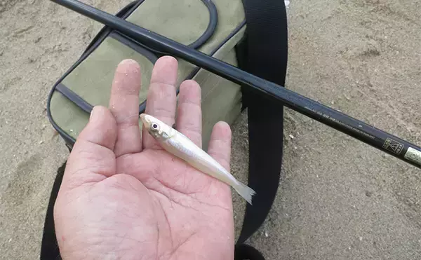 「「4つのタイプから選べば間違いなし！」 初めての海用釣り竿（ロッド）購入ガイド」の画像