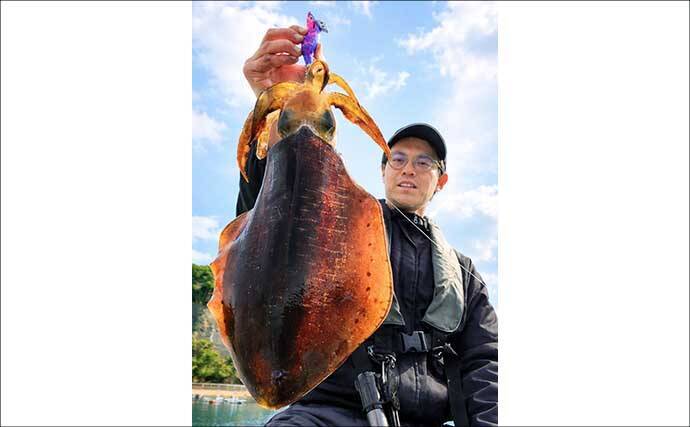 「早くも春の良型イカが好反応！」陸っぱりエギングで900gアオリイ登場【西海・長崎】