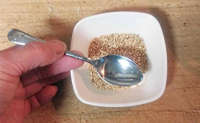 釣魚で作る「お寿司」レシピ：ヒラマサの手まり寿し　炒りゴマがアクセント