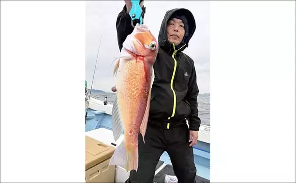 「【沖のルアー釣果速報】玄界灘のタイラバで3kg大ダイ浮上！アコウ＆アマダイ交じりの好展開（福岡）」の画像