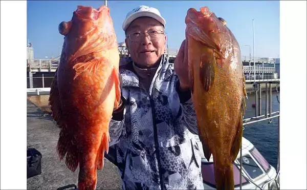 「【沖のルアー釣果速報】玄界灘のタイラバで3kg大ダイ浮上！アコウ＆アマダイ交じりの好展開（福岡）」の画像