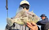 「船カワハギ釣り絶好調！30cm超え頭に釣る人50尾【船釣り最新釣果情報5選・大分／熊本】」の画像1