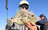 「船カワハギ釣り絶好調！30cm超え頭に釣る人50尾【船釣り最新釣果情報5選・大分／熊本】」の画像2