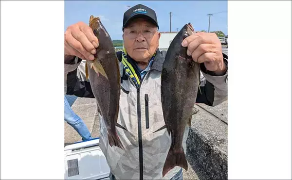「船カワハギ釣り絶好調！30cm超え頭に釣る人50尾【船釣り最新釣果情報5選・大分／熊本】」の画像