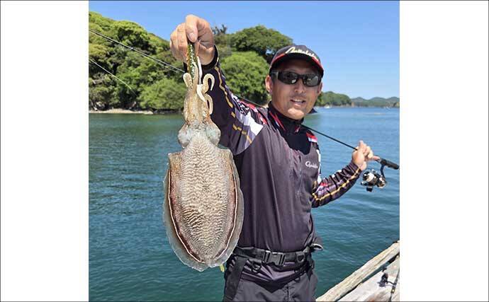 イカダでのヤエン釣りで春の大型アオリイカを狙う【三重】1kg超え本命と対面成功