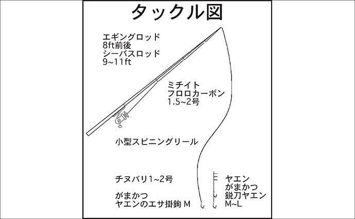 イカダでのヤエン釣りで春の大型アオリイカを狙う【三重】1kg超え本命と対面成功